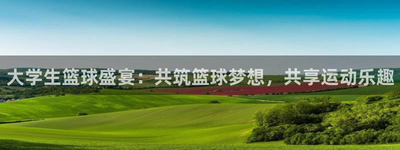 皇冠的游戏中心