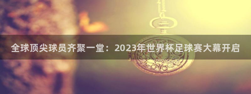 游戏皇冠